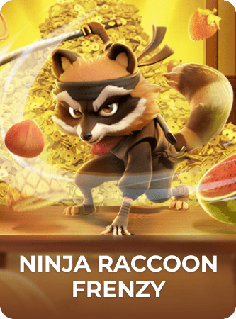 Ninja Raccoon Frenzy