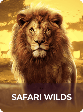 Safari Wilds